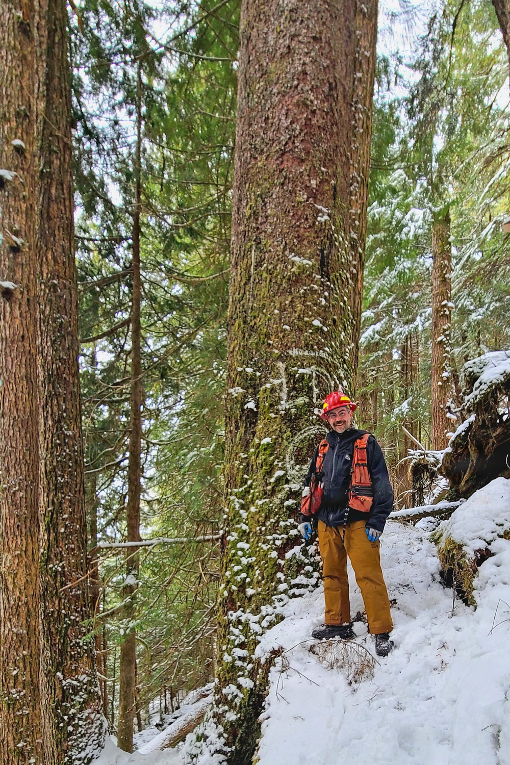 Timber Cruise in Tongass National Forest