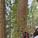 Timber Cruise in Tongass National Forest