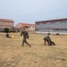KMEP 26.1: Bilateral Physical Training Event