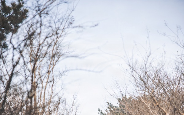 U.S. Marines observe Republic of Korea military capabilities during Freedom Shield 26