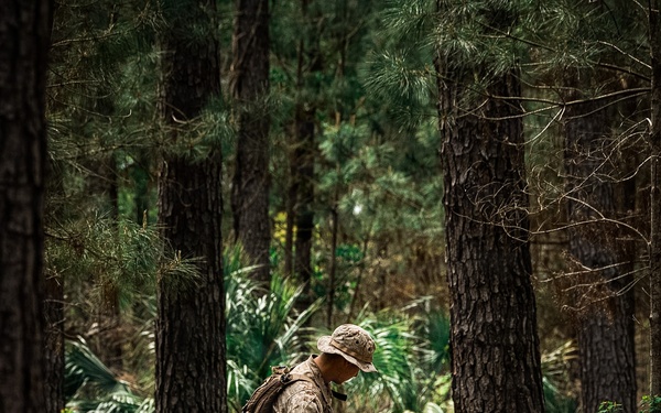 Fox Company Land Navigation