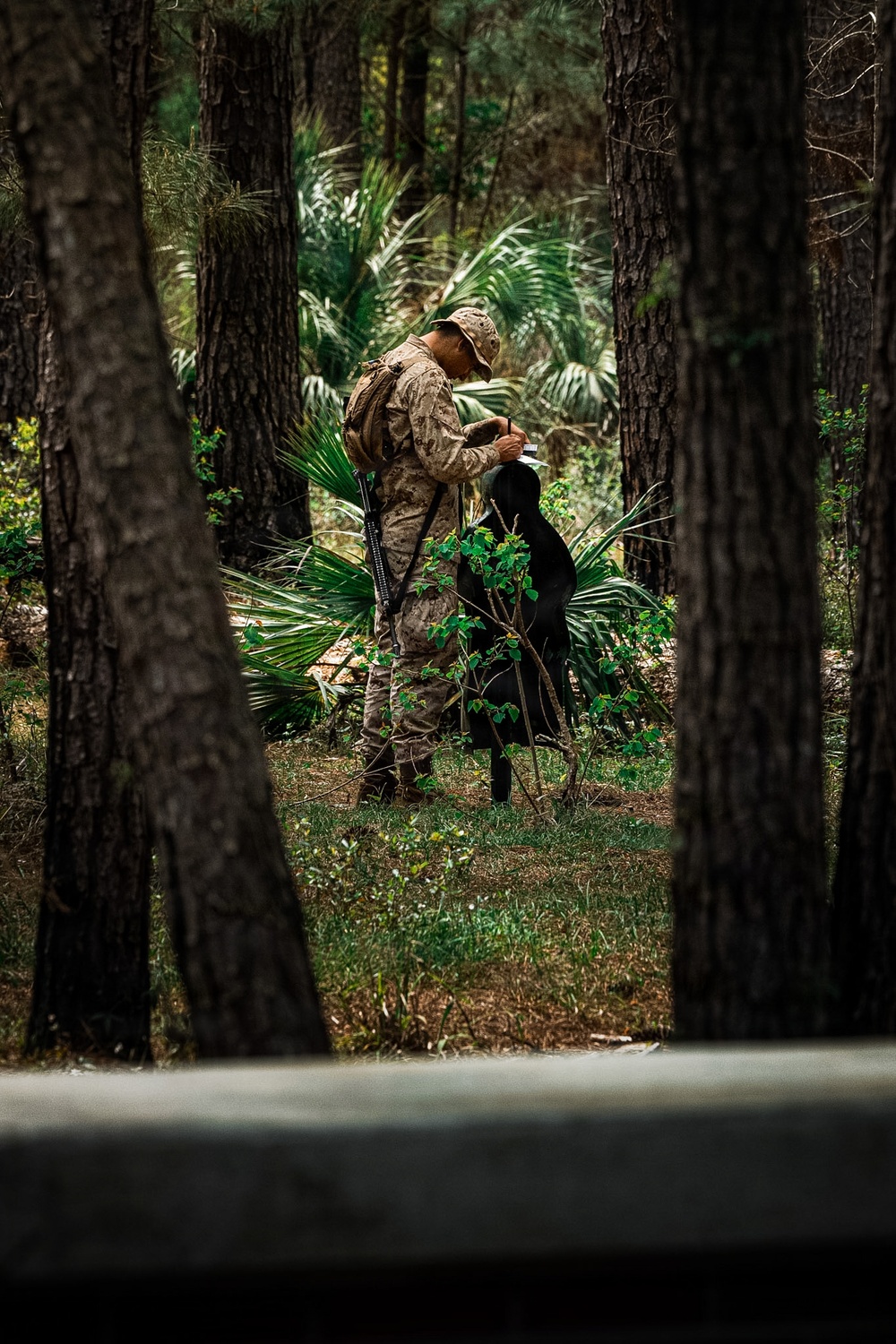 Fox Company Land Navigation