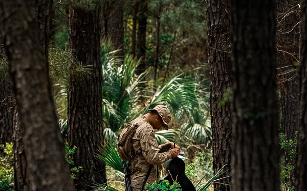 Fox Company Land Navigation