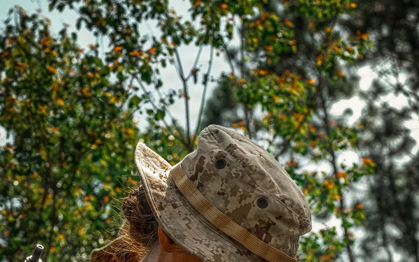 Fox Company Land Navigation