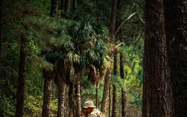 Fox Company Land Navigation