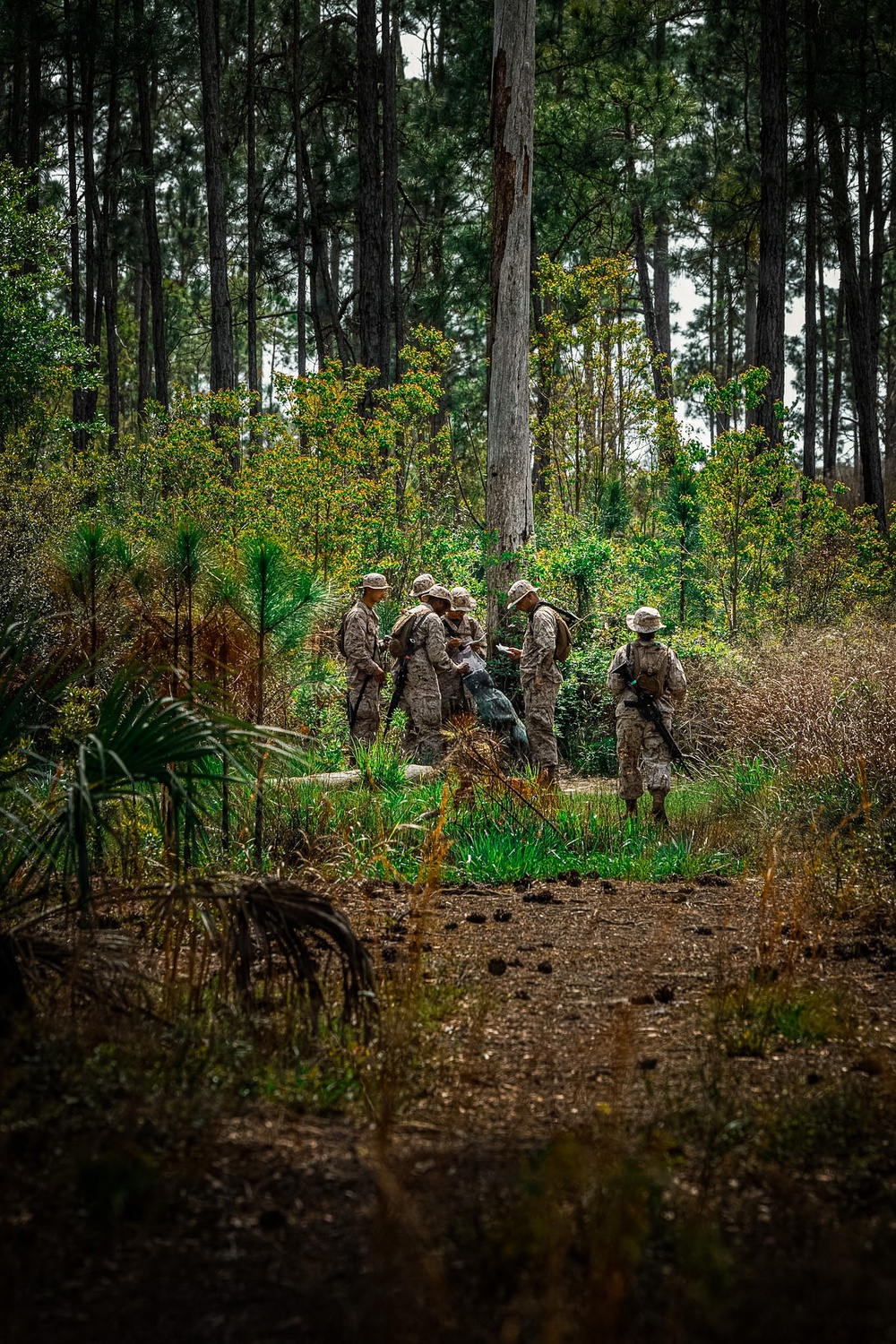 Fox Company Land Navigation