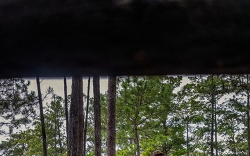 Fox Company Land Navigation