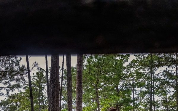 Fox Company Land Navigation