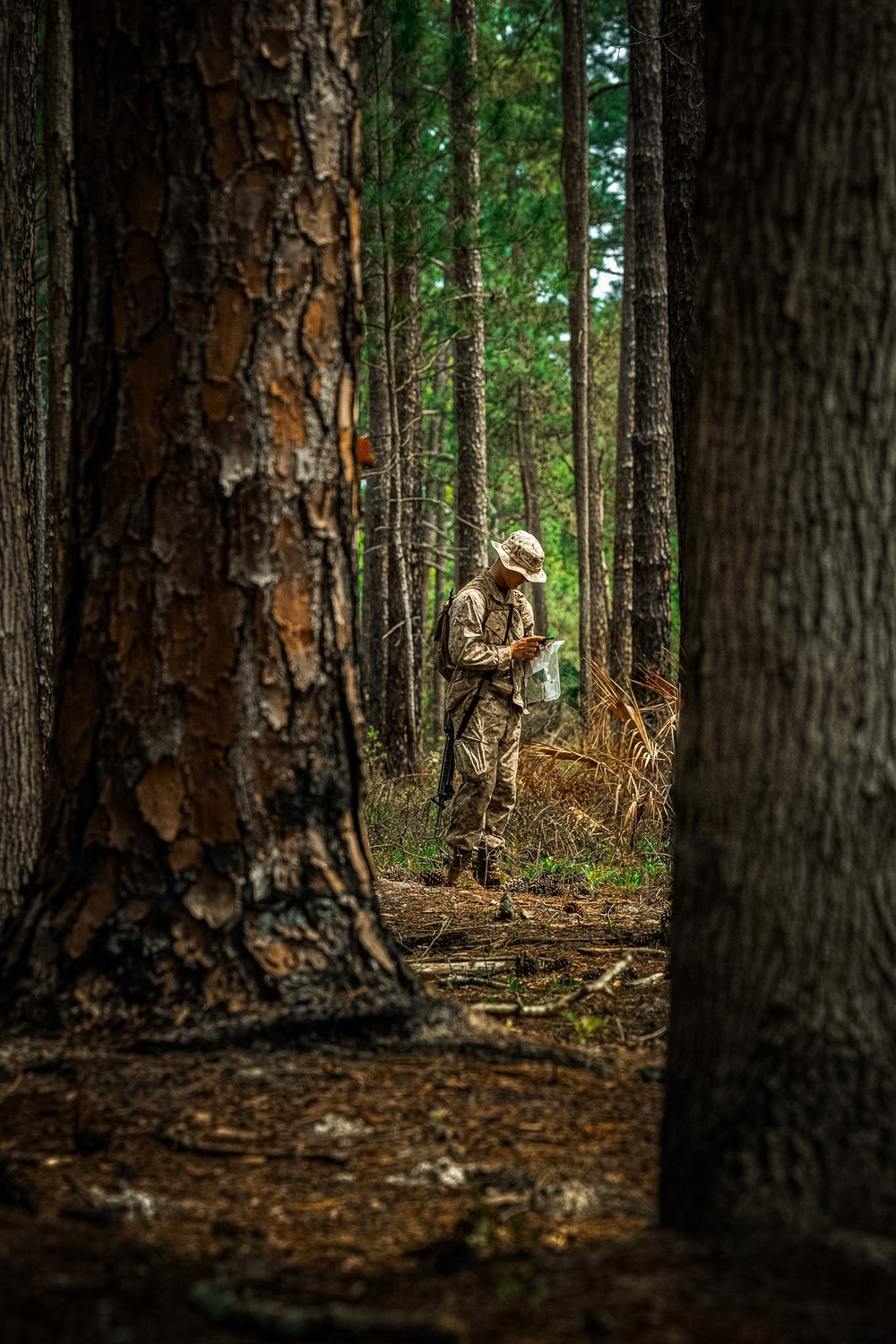 Fox Company Land Navigation