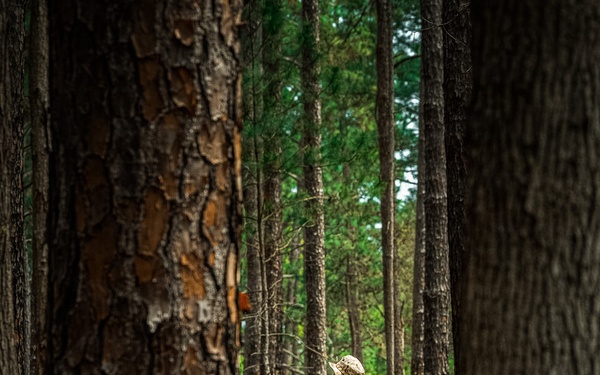 Fox Company Land Navigation