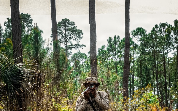 Fox Company Land Navigation