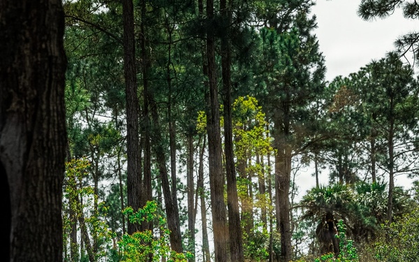 Fox Company Land Navigation