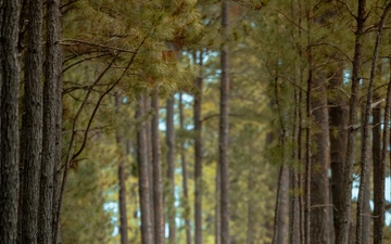 Fox Company Land Navigation