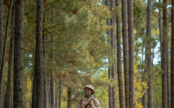 Fox Company Land Navigation