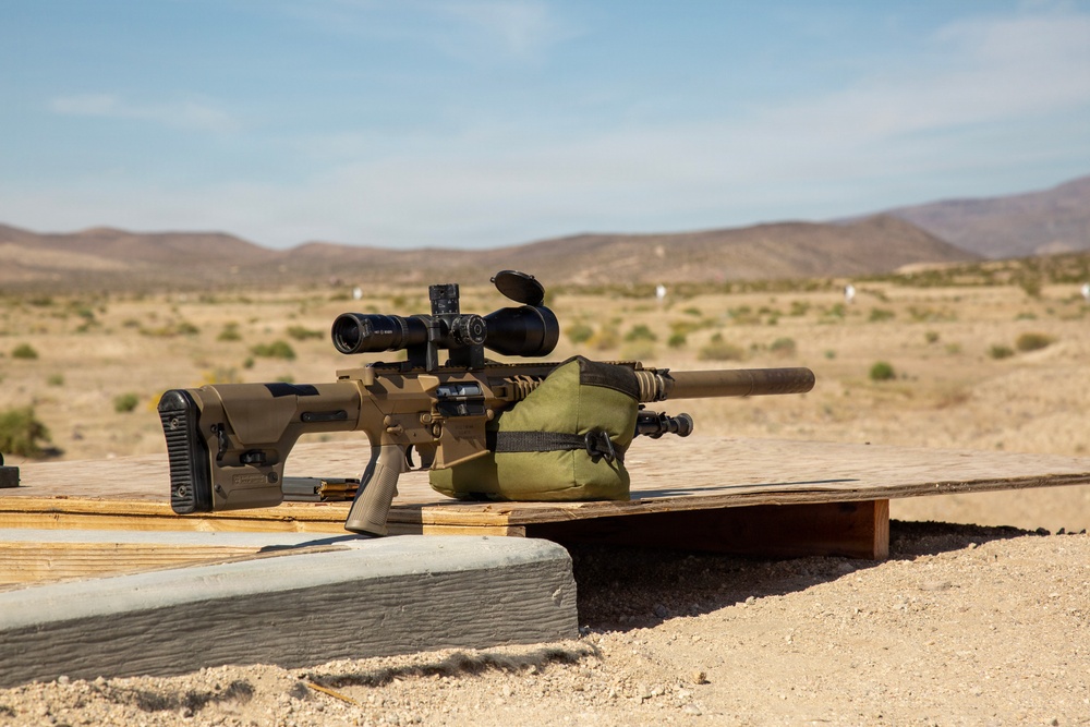 Marksman Observer Training