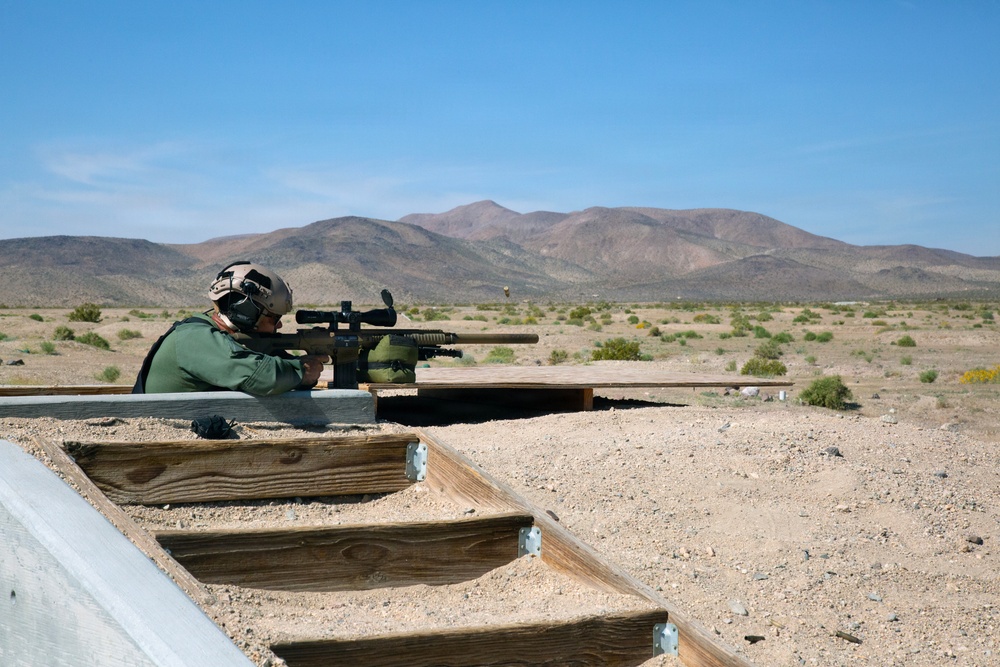 Marksman Observer training