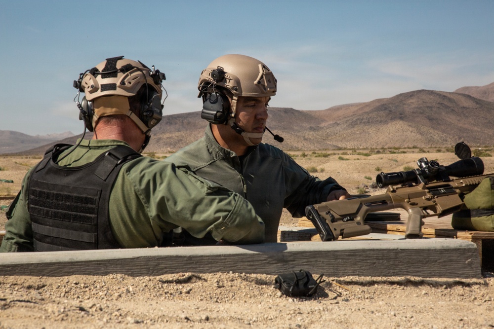 Marksman Observer Training