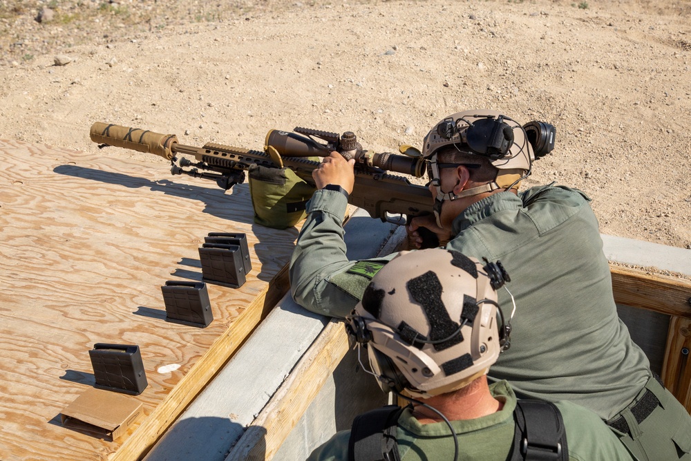 Marksman Observer Training