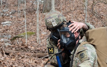 Engineers prove they can be all they can be, earn MSCoE Best Squad title