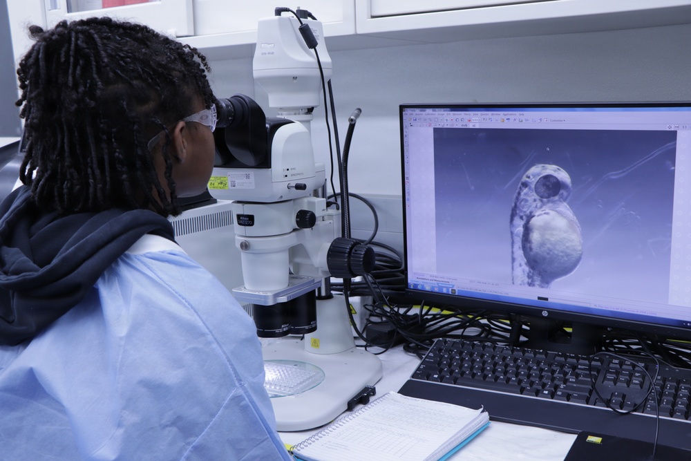 WRAIR’s Bridge-Research and Mentorship Program supports students in STEM