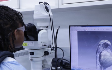 WRAIR’s Bridge-Research and Mentorship Program supports students in STEM