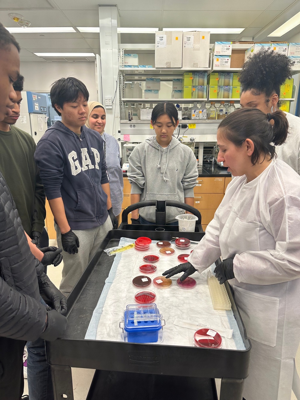 WRAIR’s Bridge-Research and Mentorship Program supports students in STEM