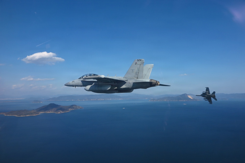 VAQ 135 Conducts Bi-Lateral Exercise with JMSDF