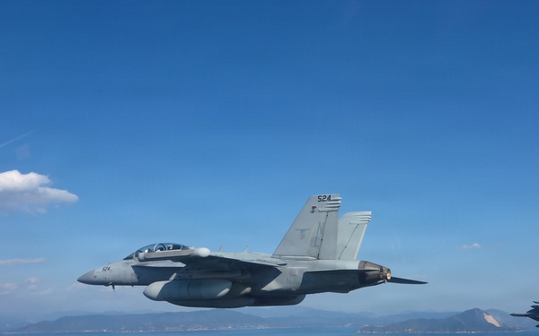 VAQ 135 Conducts Bi-Lateral Exercise with JMSDF