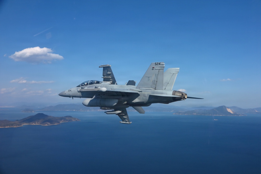 VAQ 135 Conducts Bi-Lateral Exercise with JMSDF