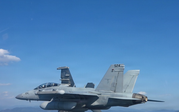 VAQ 135 Conducts Bi-Lateral Exercise with JMSDF