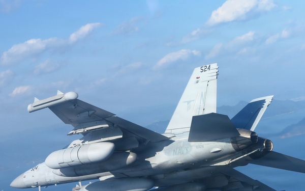 VAQ 135 Conducts Bi-Lateral Exercise with JMSDF