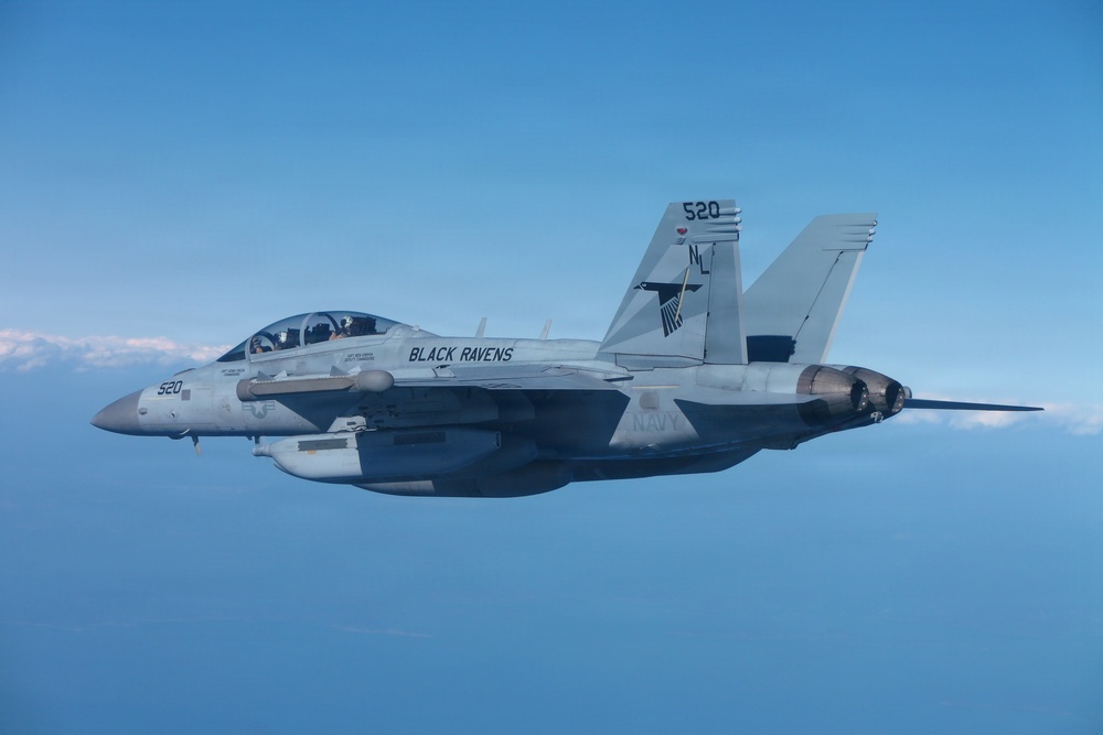 VAQ 135 Conducts Bi-Lateral Exercise with JMSDF