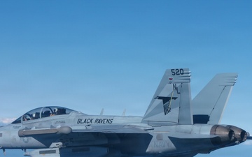 VAQ 135 Conducts Bi-Lateral Exercise with JMSDF