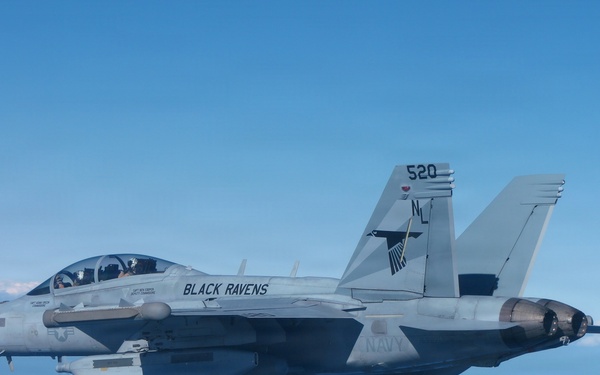 VAQ 135 Conducts Bi-Lateral Exercise with JMSDF