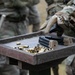 7ATC M17 Range