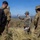 U.S. Marines and Allies Undergo an Evaluated Tactical Combat Casualty Care Training Test