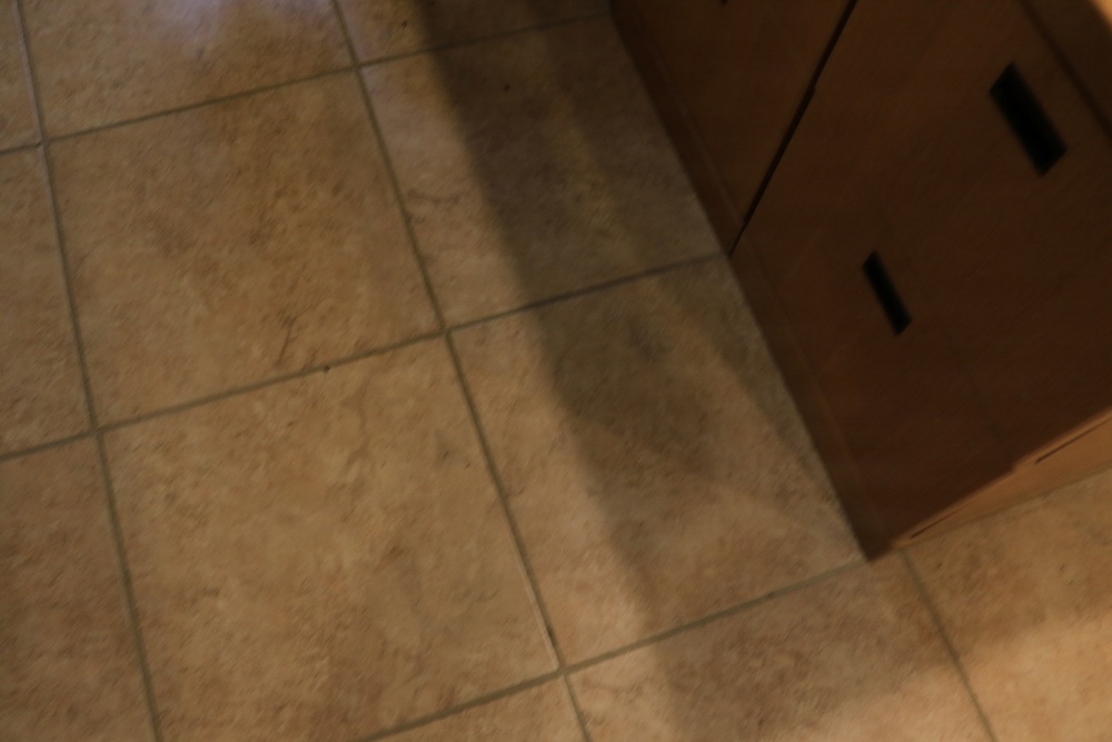 High Water Levels at Mount Morris Dam