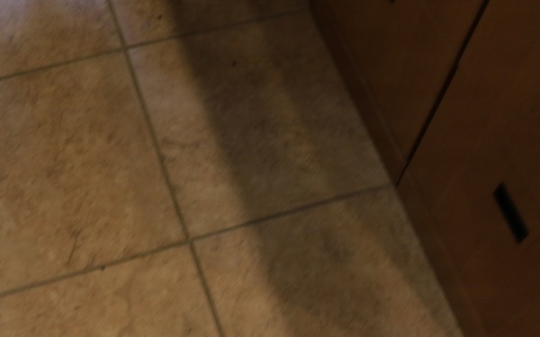 High Water Levels at Mount Morris Dam