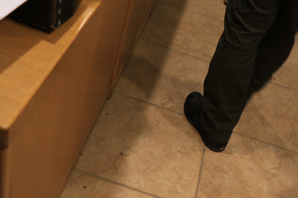 High Water Levels at Mount Morris Dam