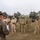 U.S. Marines and Allies Conduct a Mounted Land Nav