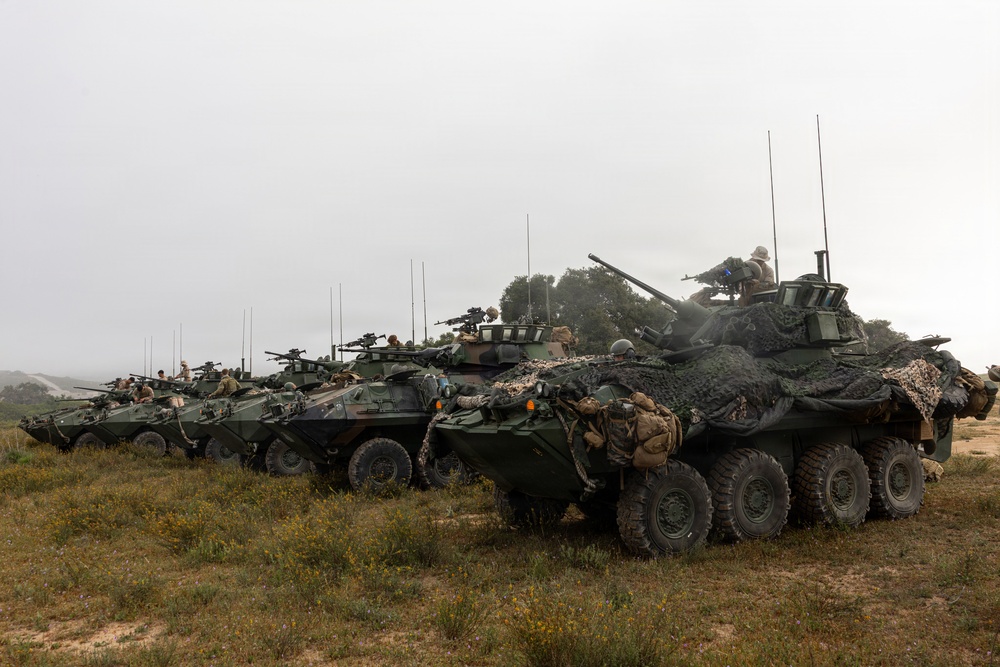 U.S. Marines and Allies Conduct a Mounted Land Nav