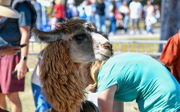 Spring Fling on the Waterfront