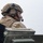 U.S. Marines and Allies Conduct a Mounted Land Nav