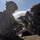 U.S. Marines and Allies Conduct a Mounted Land Nav