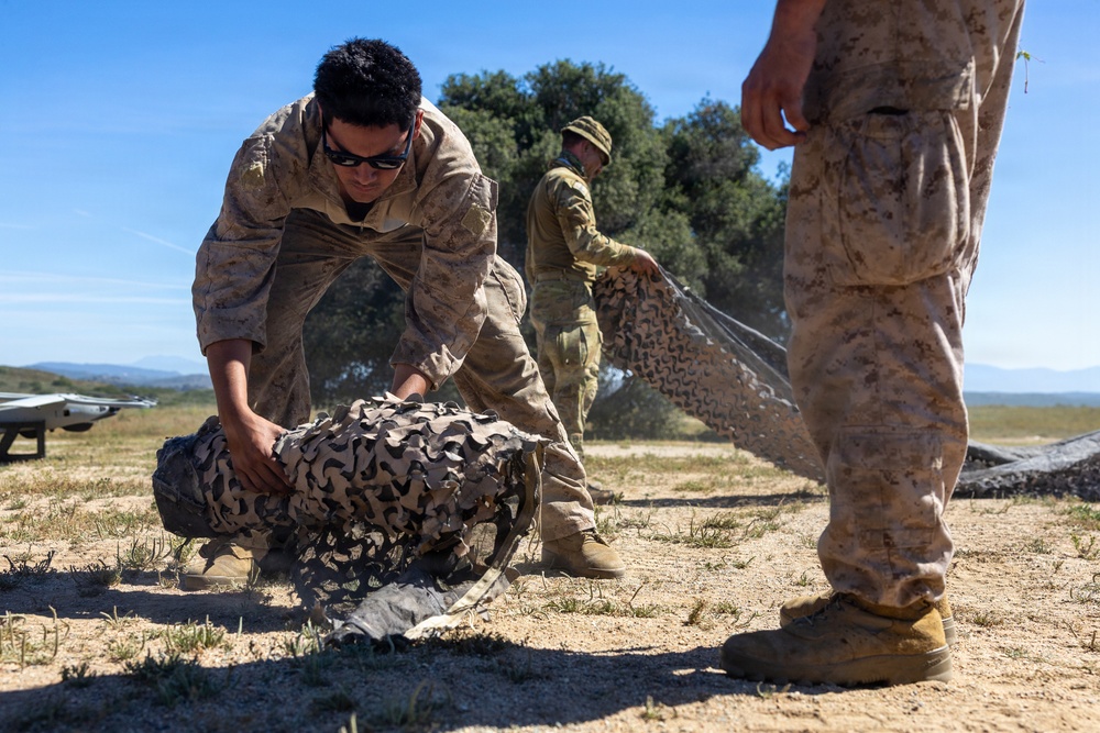 U.S. Marines and Allies Undergo a Cover and Concealment Training Event