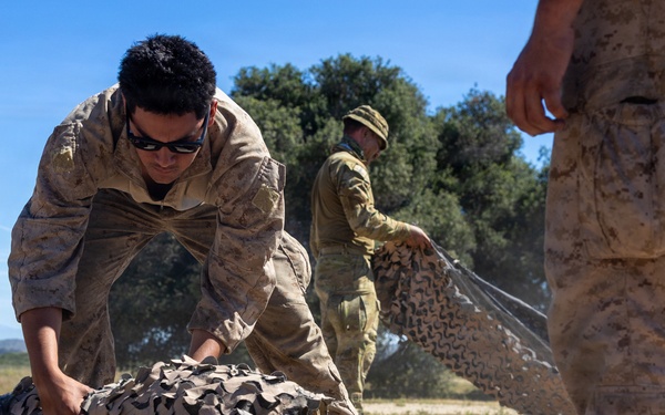 U.S. Marines and Allies Undergo a Cover and Concealment Training Event