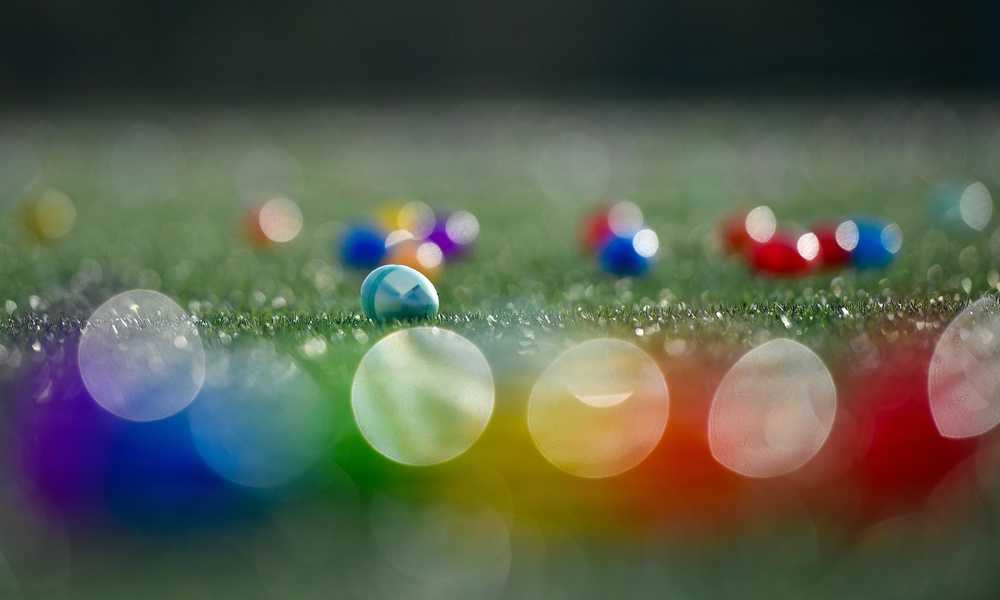 Spring Fling on the Waterfront