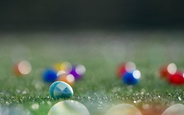 Spring Fling on the Waterfront