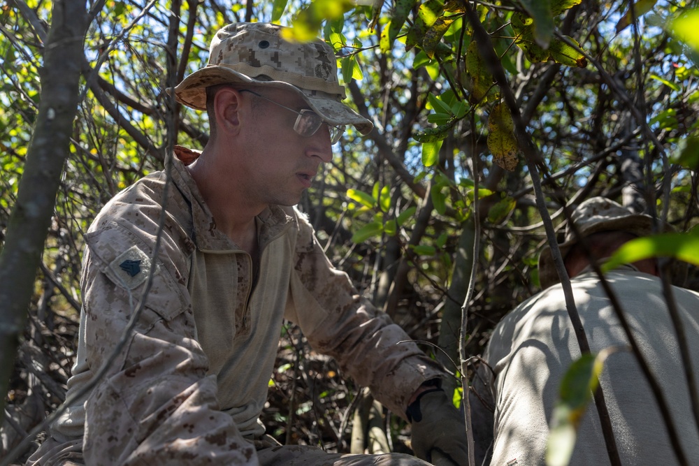 U.S. Marines and Allies Undergo a Cover and Concealment Training Event