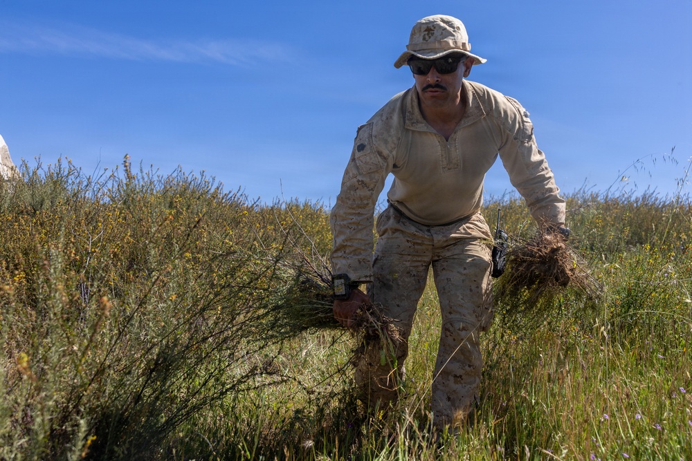 U.S. Marines and Allies Undergo a Cover and Concealment Training Event